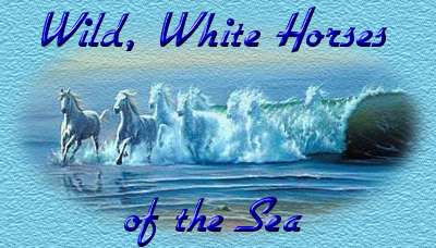 ... to see the faces in the clouds or the wild, white horses of the sea...