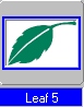 Leaf 5 shape