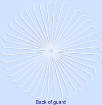 Back guard