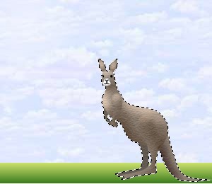 Background and resized kangaroo