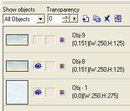 Object Manager