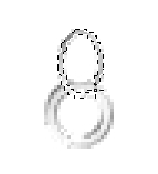 Ring + first link